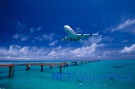 日本航空全日空(ANA)推出NFT市场 可链接Metamask后用ETH付款