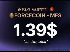 大家好！我叫Forcecoin原力币，也是‬未来的数字货币！